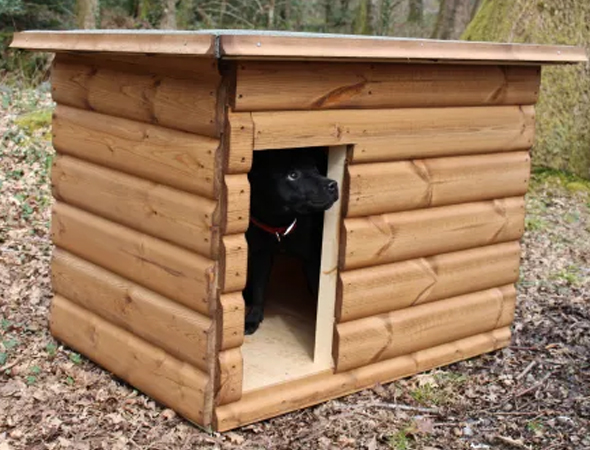 3 x 2 Kennel