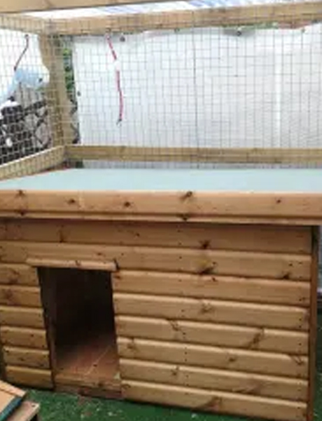 4 x 3 Kennel